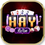 haywin-150x150
